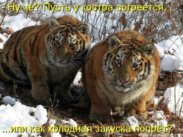 5d163436bff98ba55dea07e3f22_prev