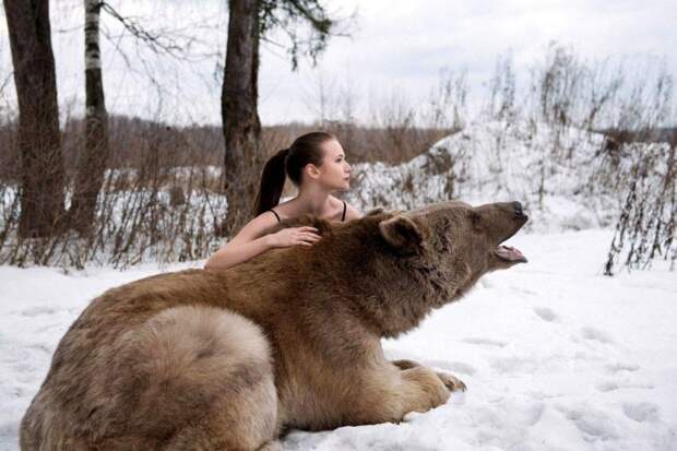 Фотографии моделей с 650-килограммовым медведем в заснеженном лесу медведь, фото