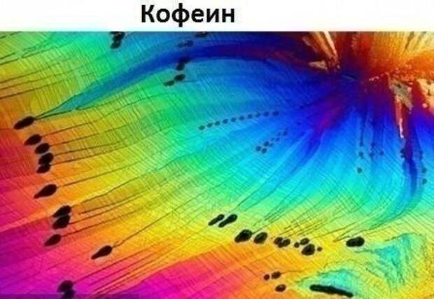 Немного интересного под микроскопом. Немного интересного под микроскопом.