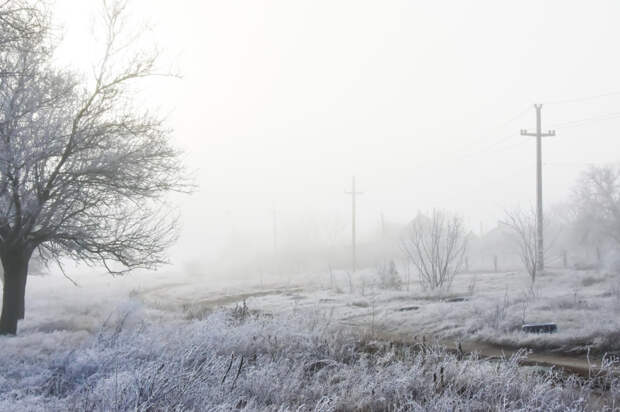 В Крыму на выходных ожидаются заморозки