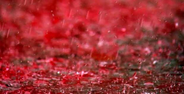 4. Красный (кровавый) дождь, Керала, Индия, 2001 год дождь, небо, природа