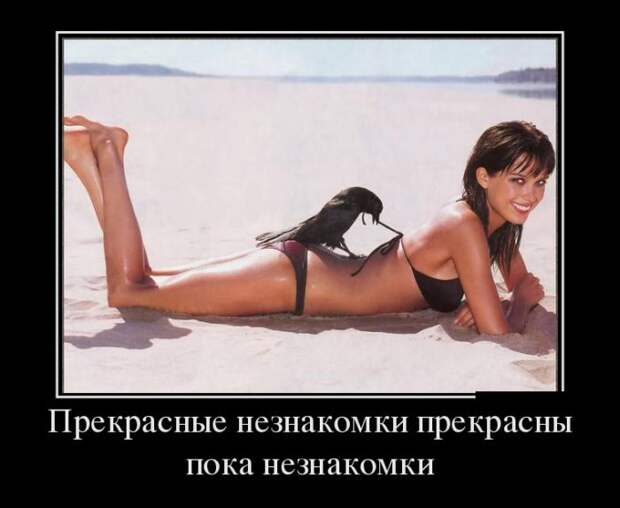 Демотиваторы (30 фото)