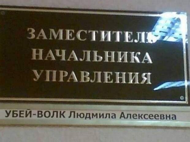 Забавные фамилии