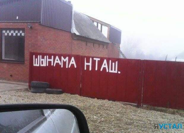 Смешные картинки с надписями