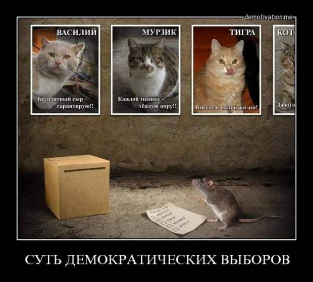 Демотиваторы Демотиваторы видео, демотиваторы