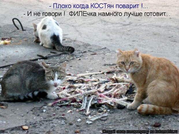 Мысли вслух :)