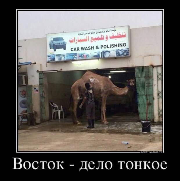 Прикольные демотиваторы (15 шт)