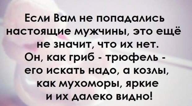 Смешные высказывания...