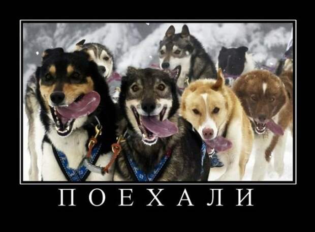 demotivatory_na_subbotu_29_foto_9.jpg