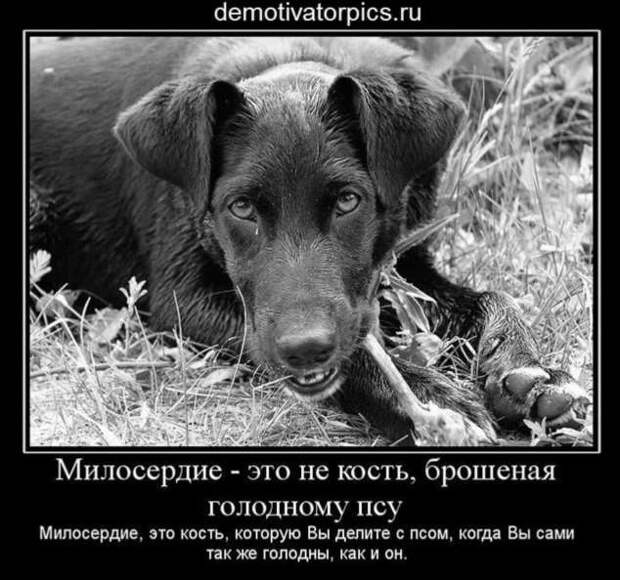 Прикольные демотиваторы с надписями. Подборка chert-poberi-dem-chert-poberi-dem-56520724102020-4 картинка chert-poberi-dem-56520724102020-4