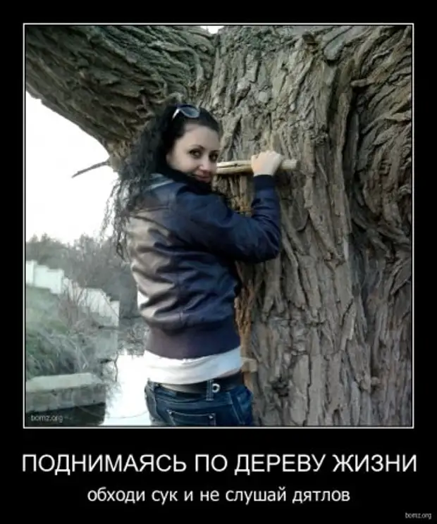 Цитаты по кайфу. Поднимаясь по дереву жизни обходи сук и не слушай дятлов. Жизнь она одна сука. Стих жизнь она одна она твоя. Фразы из грязи в князи.