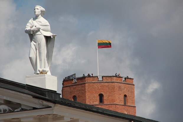 МИД Литвы вызвал временного поверенного в делах России Александра Елкина