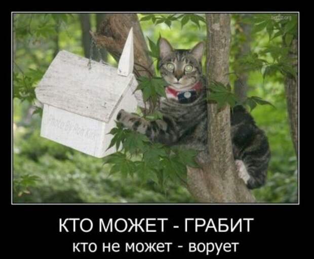 Веселые демотиваторы, и только новые!!!