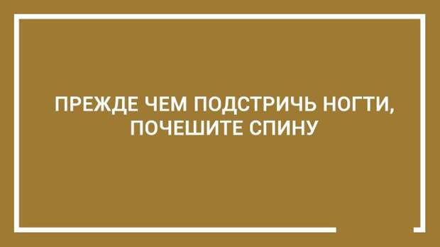 20 дельных советов — этому не учат в школе 20 дельных советов — этому не учат в школе открытка, совет, юмор