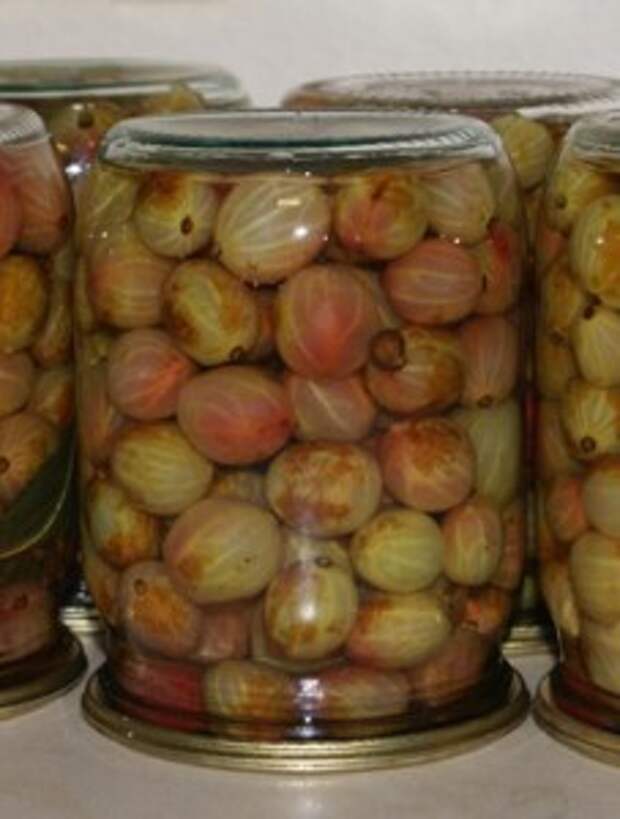 маринованный крыжовник рецепт
