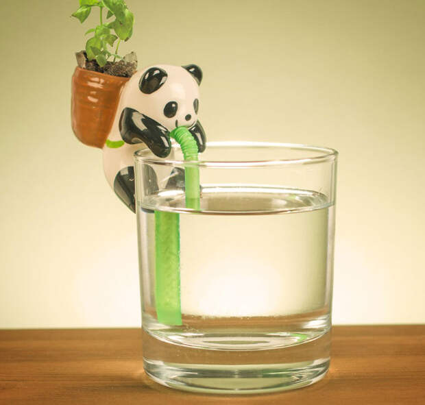 cute-self-watering-ceramic-planters-54