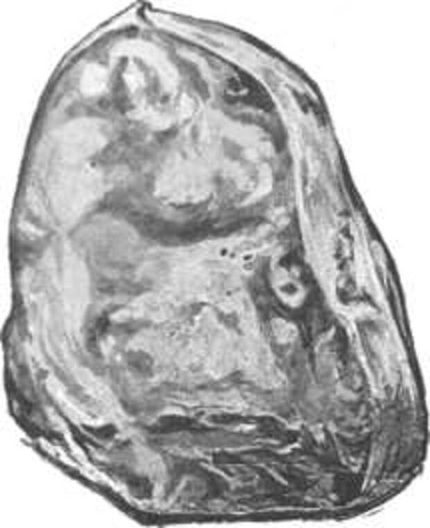 Diamant Excelsior Croquis Streeter's Precious Stones 1899.jpg