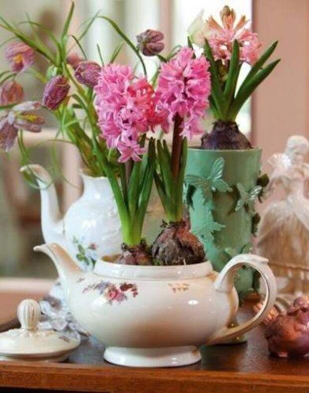 b2ap3_thumbnail_df492ae631.jpg b2ap3_thumbnail_df492ae631.jpg