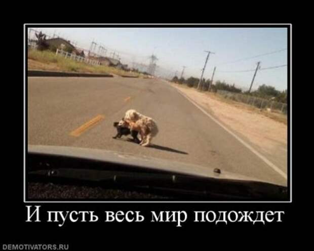 Демотиваторы со смыслом приколы, новая подборка.