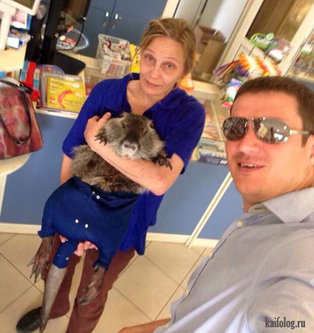 Необычные домашние животные (55 фото) Необычные домашние животные (55 фото)