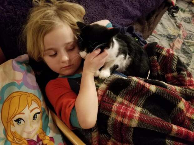 cette-peitte-chatte-recueillie-avait-01s.jpg