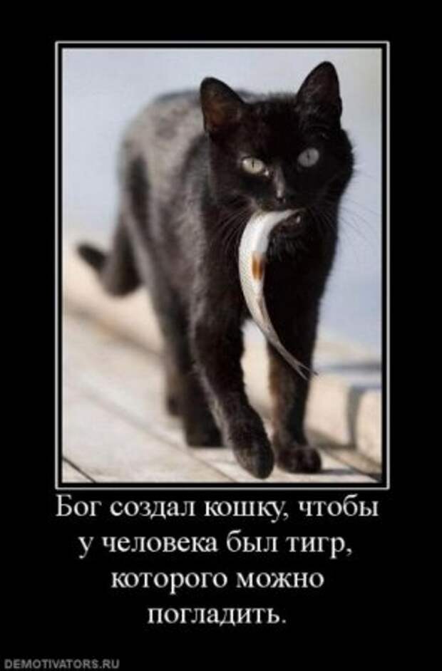 Демотиваторы про детей.