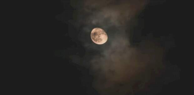 Такой день. Билеты на перенесенный фестиваль и статистика по заражению ВИЧ