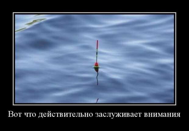 Демотиваторы №1187 (30 фото) Демотиваторы №1187 (30 фото)