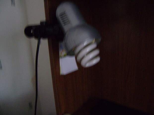 Как начинающий рукожоп ремонтирует лампу, энергосберегающую интересное, фото