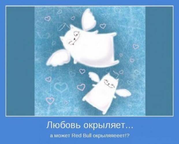 Мотивируемся, позитив.