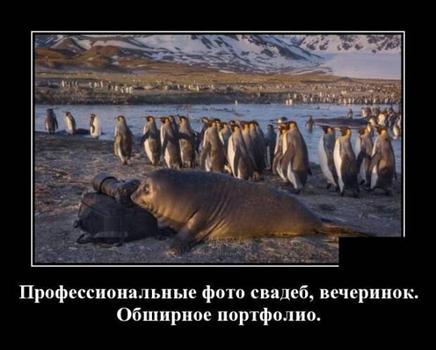 www.vsyako.net