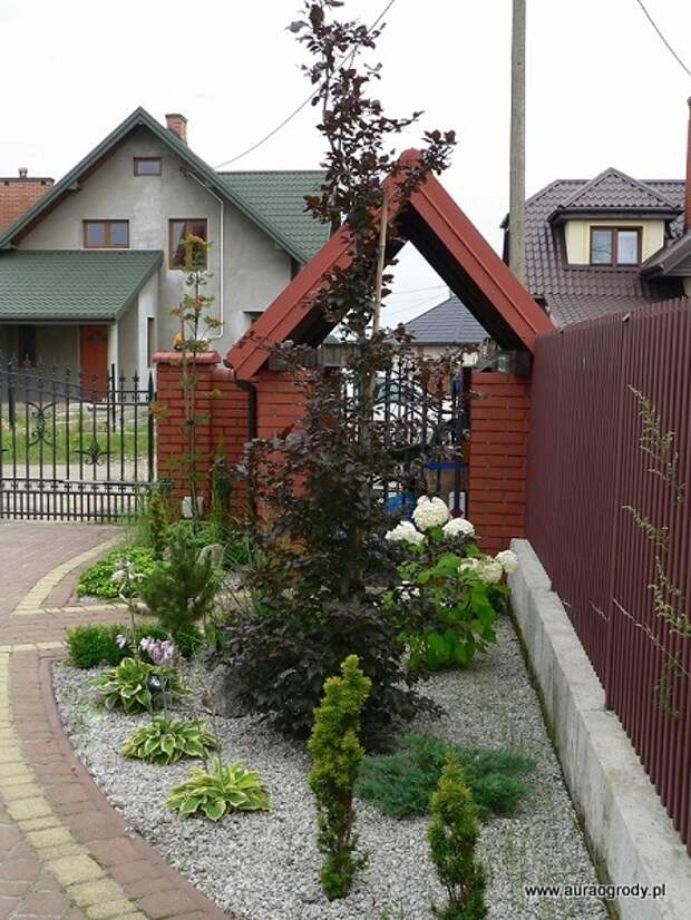 P1200607 (450x600, 150Kb)