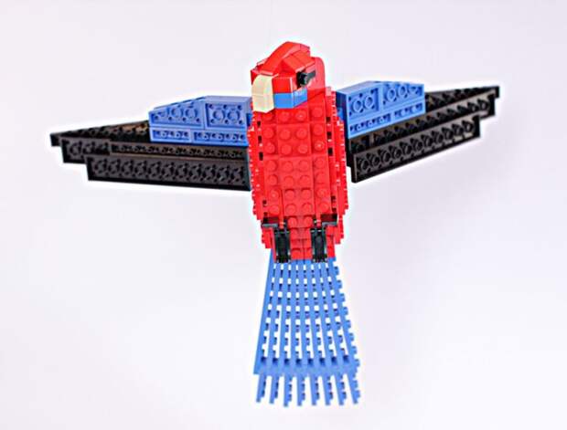 том пулсом скульптуры птиц из конструктора LEGO (16)