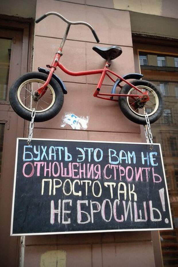 Картинки, юмор, приколы
