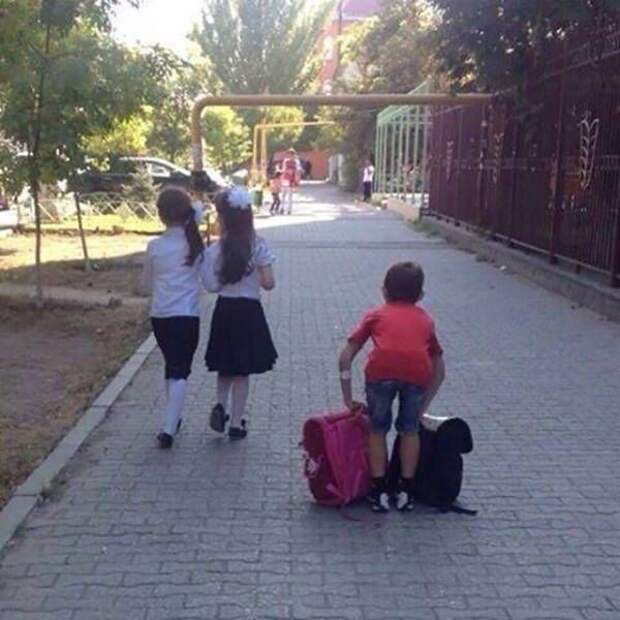 Прикольные картинки (87 фото)