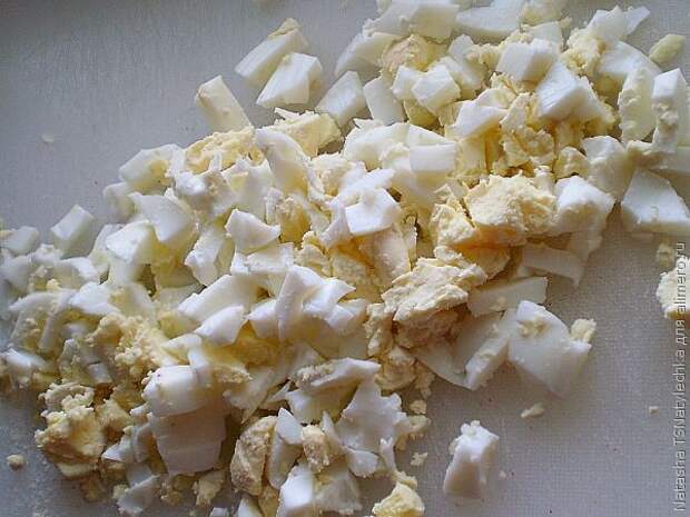 закуски закуски