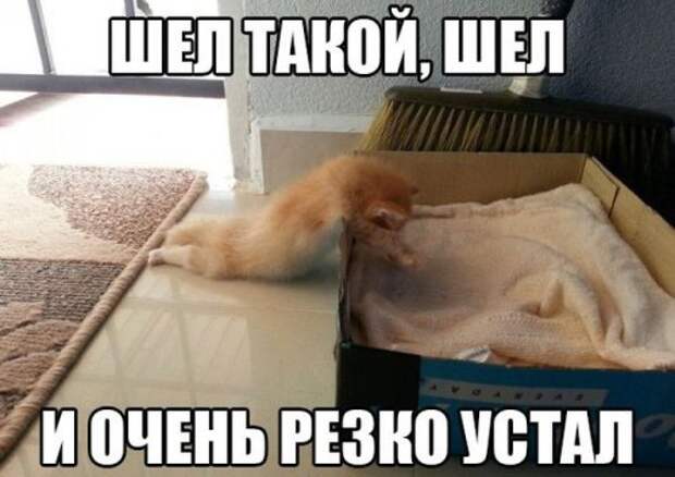 Смешные и классные картинки (47 шт)