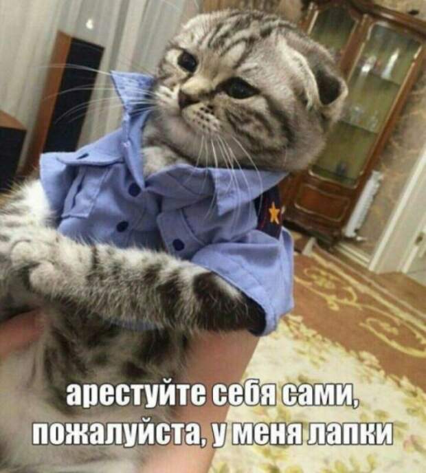 Подборка легкого юмора. Часть 6 (36 фото)