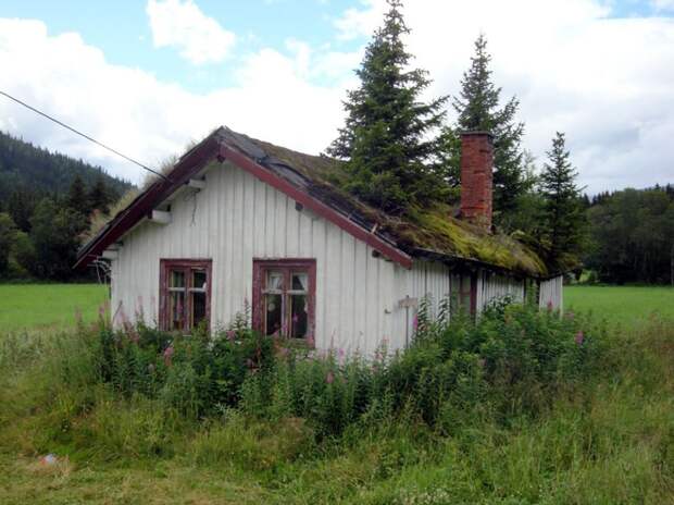 Это то, что происходит без козла на дерновой крыше. Старинный дом 19-го века на горнолыжном курорте Хемседал, Норвегия, срочно нуждается в ремонте. Деревья, которые могут расти на дерновой крышей, в конечном счете разрушают дом. зелёные крыши, экологичный дом