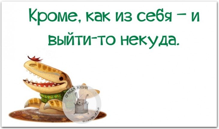 Смешная правда жизни, рассмешит вас