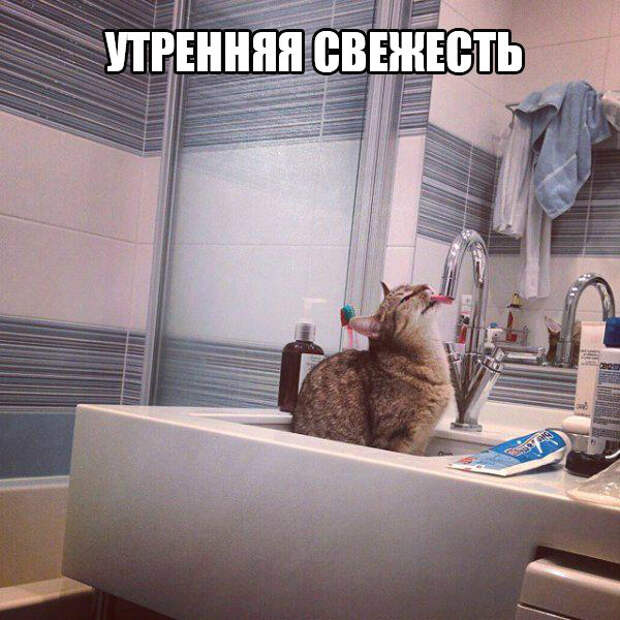 4084265_original (600x600, 269Kb)