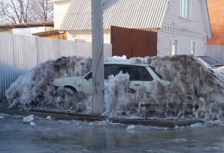 Фото приколы, позитив быстро и качественно.