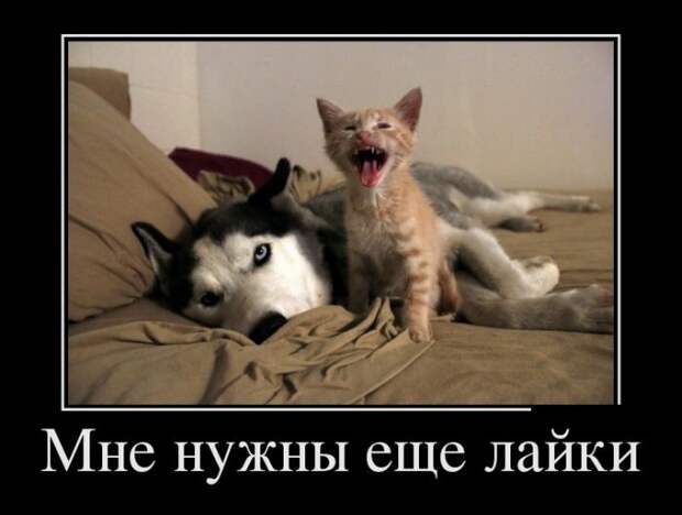 Демотиваторы демотиваторы, юмор