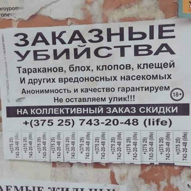 Объявления и надписи, к которым подошли явно не со всей ответственностью Объявления и надписи, к которым подошли явно не со всей ответственностью
