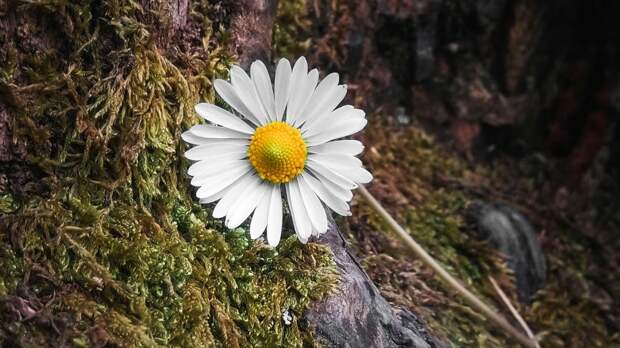 Тест для самых внимательных: сможете найти все слова, которые мы от вас спрятали?