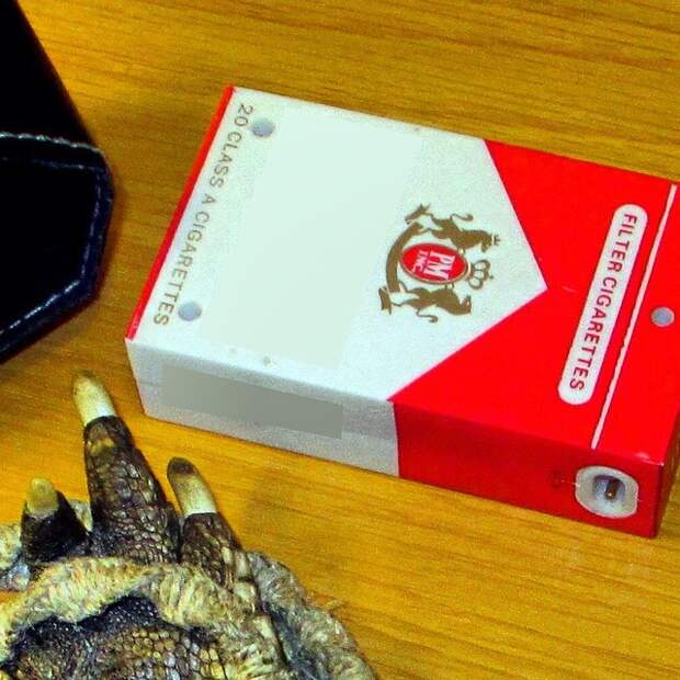 Электрошокер, замаскированный под пачку сигарет. вещи, конфискация, пассажир, самолет