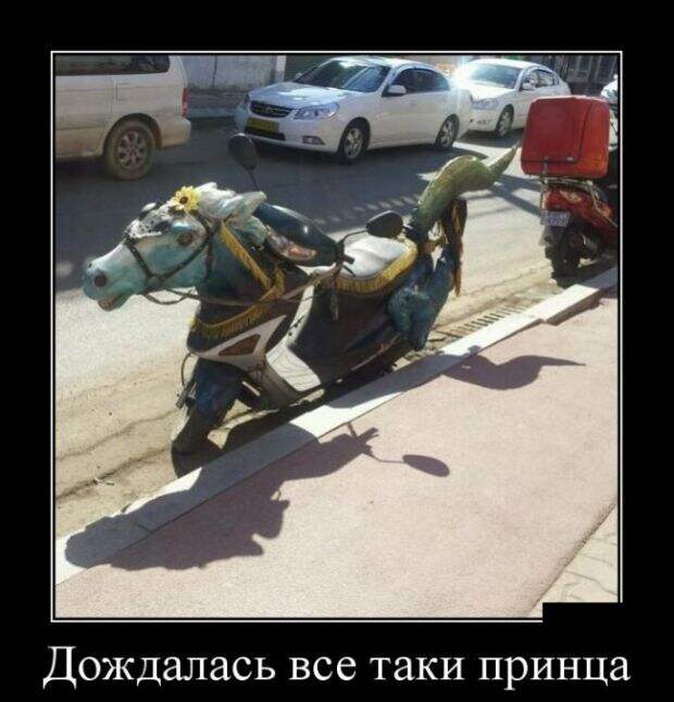 Демотиваторы (30 фото)