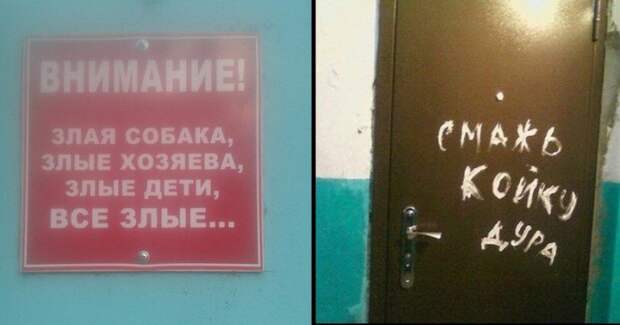 Соседей не выбирают Соседей не выбирают