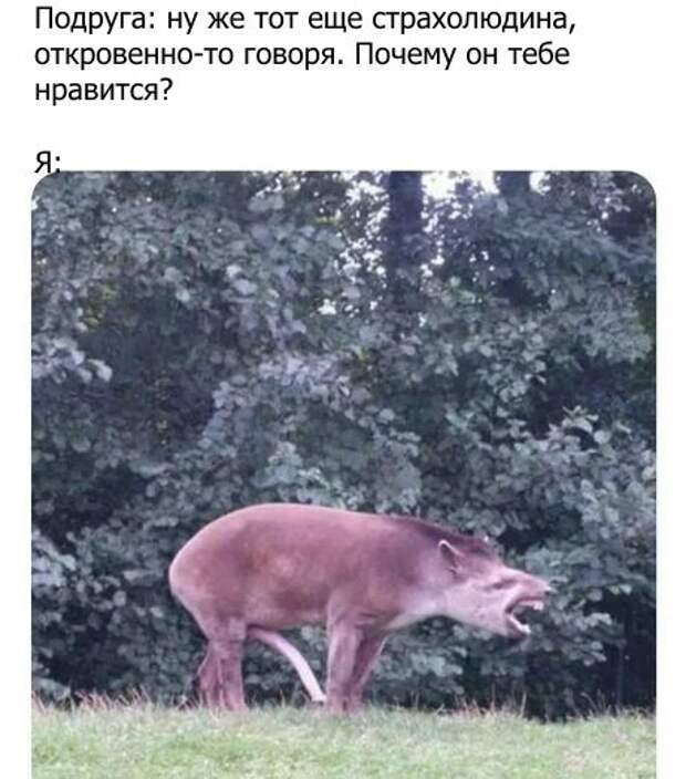 Сам не свой