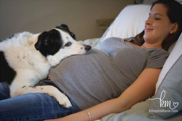 20 собак, которые ждут не дождутся рождения ребёнка